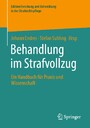 Behandlung im Strafvollzug - Ein Handbuch für Praxis und Wissenschaft